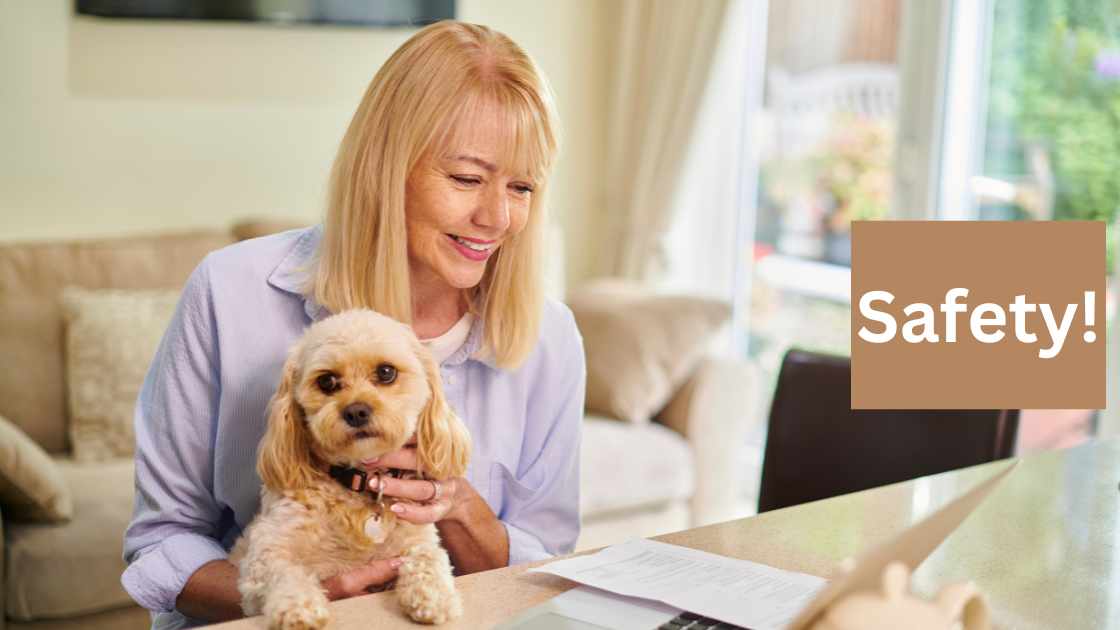 Learn How Much Is Pet Insurance