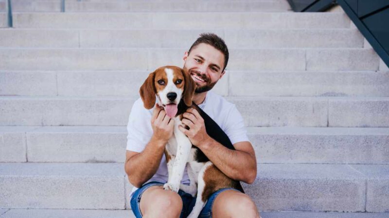 Learn How To Train A Dog To Use Pet Stairs