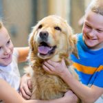 How to Choose the Right Pet for Your Family
