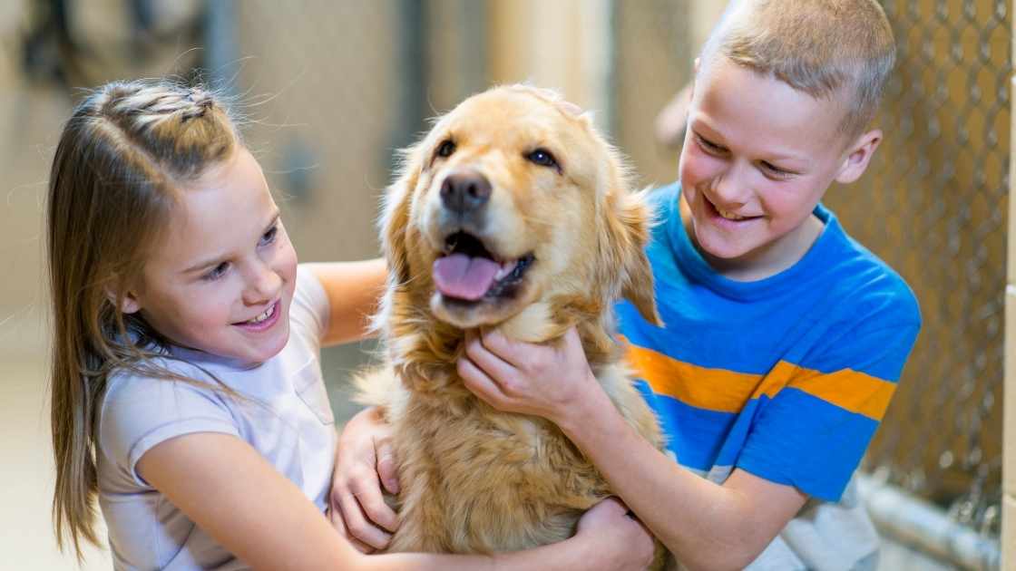 How to Choose the Right Pet for Your Family