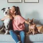 How to Integrate a New Pet into a Multi-Pet Household