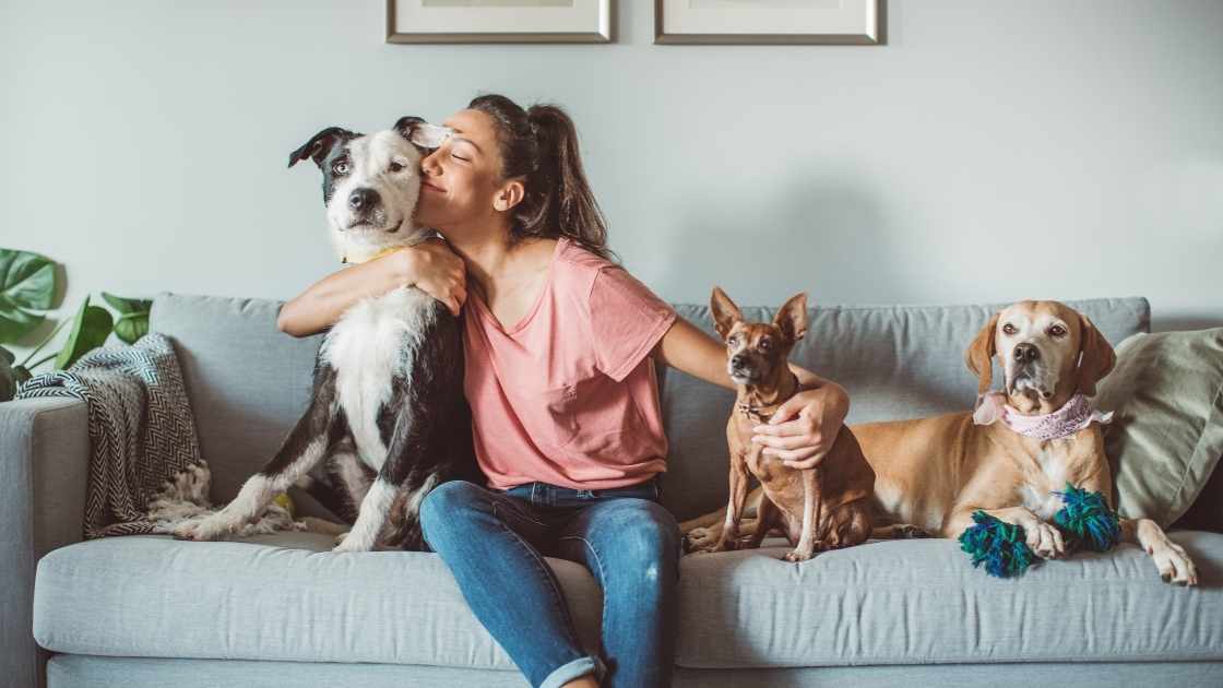 How to Integrate a New Pet into a Multi-Pet Household