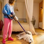 How to Choose the Best Vacuum Cleaner for Pet Hair