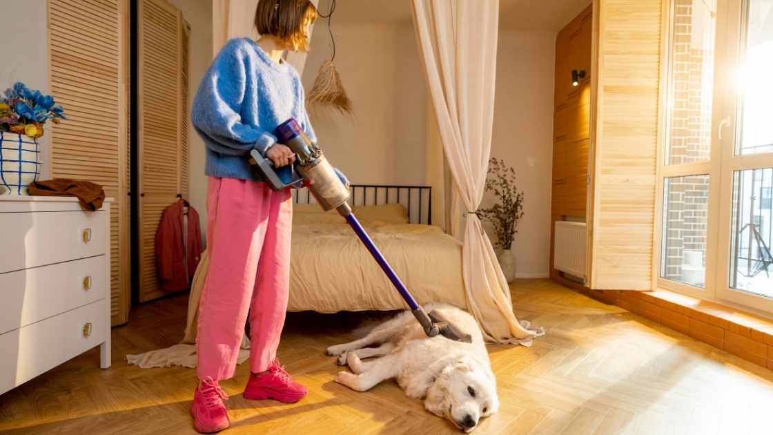 How to Choose the Best Vacuum Cleaner for Pet Hair