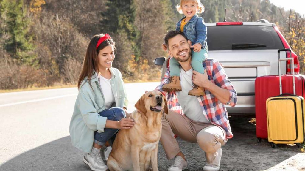 how-to-get-a-pet-health-certificate-for-international-travel