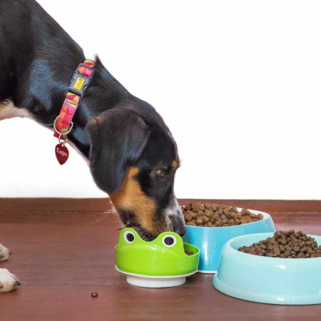 How to Make Your Own Raw Pet Food