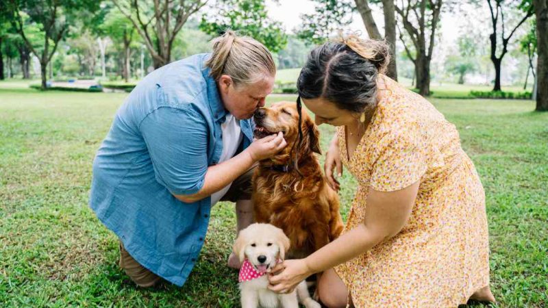 Pets and Health: How are pets good for health