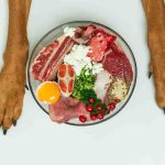 How to Cook Fresh Pet Dog Food