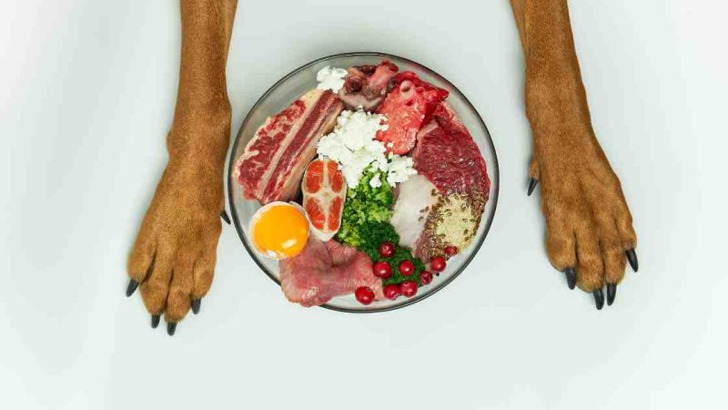 How to Cook Fresh Pet Dog Food: A Complete Guide