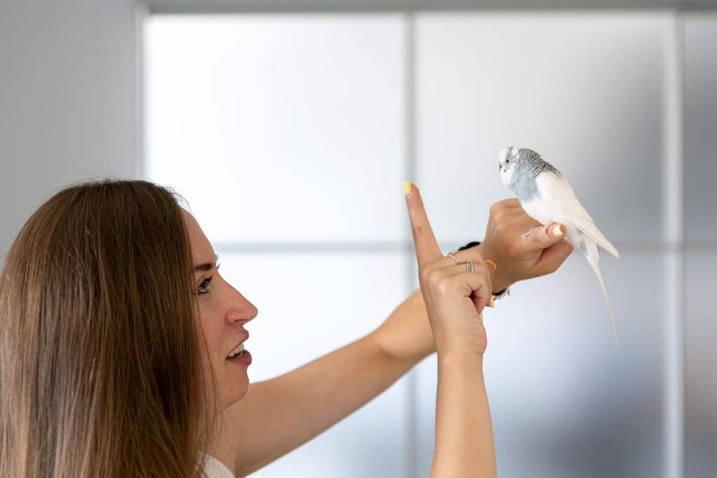 Why Does My Parrot Pluck Its Own Feathers?