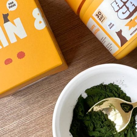 Marine Phytoplankton for Dogs: A Superfood for Canine Health