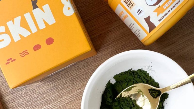 Marine Phytoplankton for Dogs: A Superfood for Canine Health