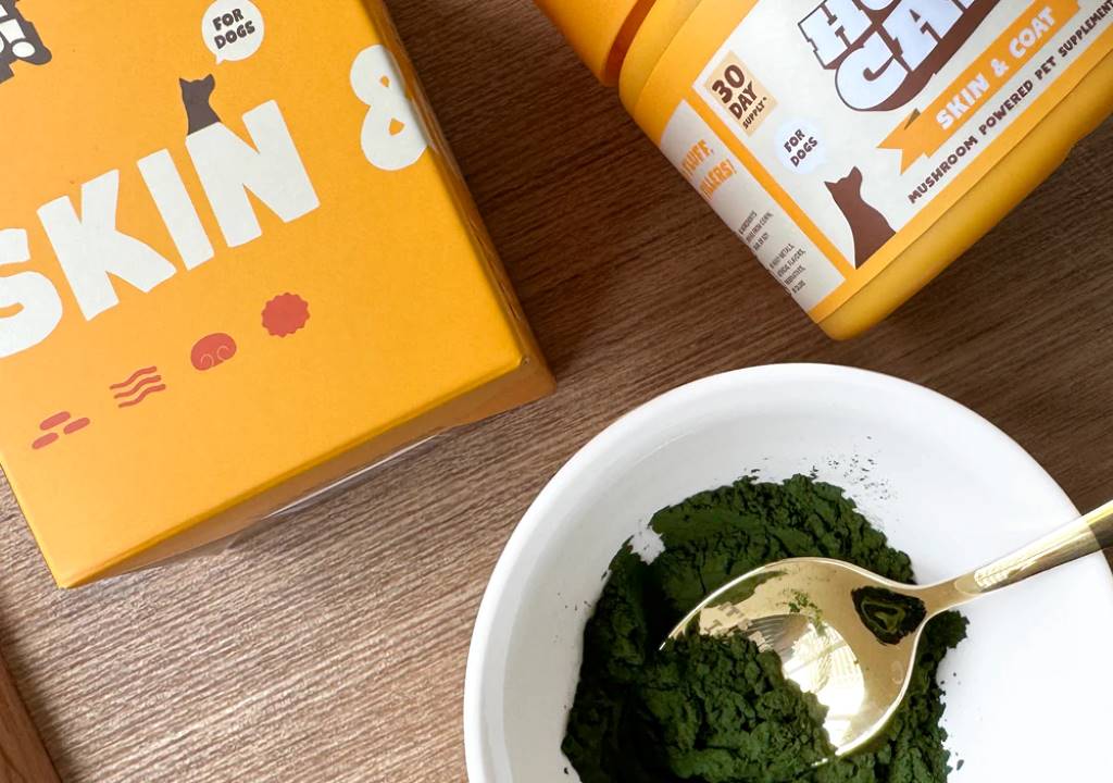Marine Phytoplankton for Dogs: A Superfood for Canine Health