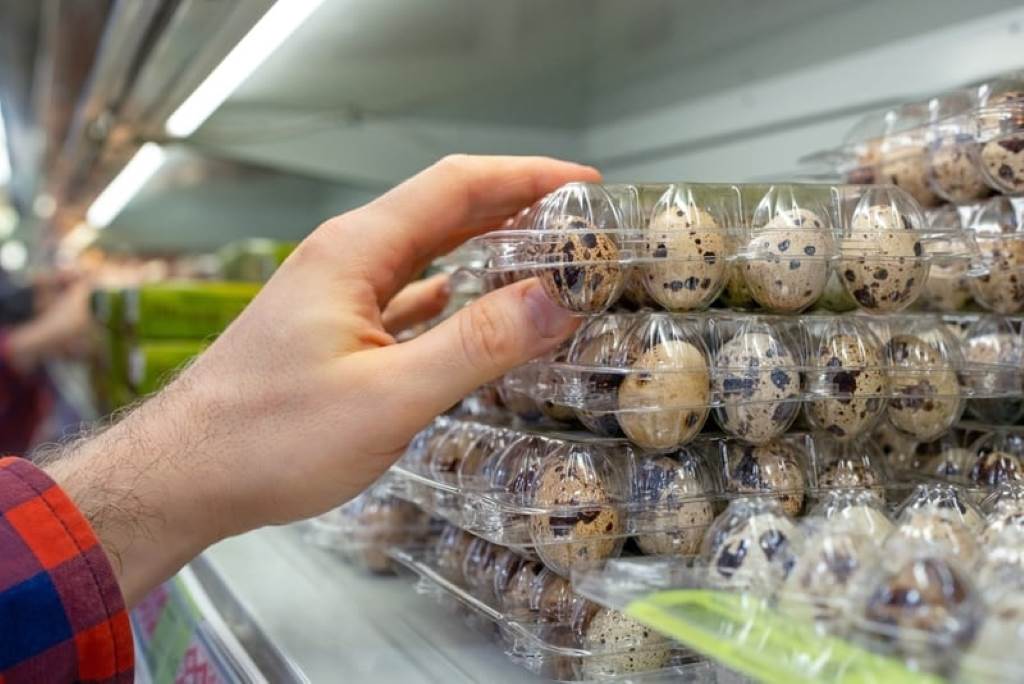 Vet-approved quail egg topper sprinkled on cat food for nutrition.