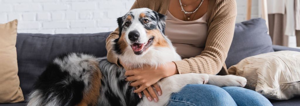 How to Keep Indoor Pets Active and Happy: The Ultimate Guide to a Thriving Pet Life