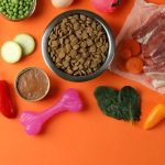 Pet owner choosing healthy organic pet food in a grocery store in Oregon OG