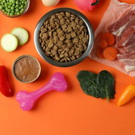 How to Choose Healthy Food for Your Pet in Oregon (OG)