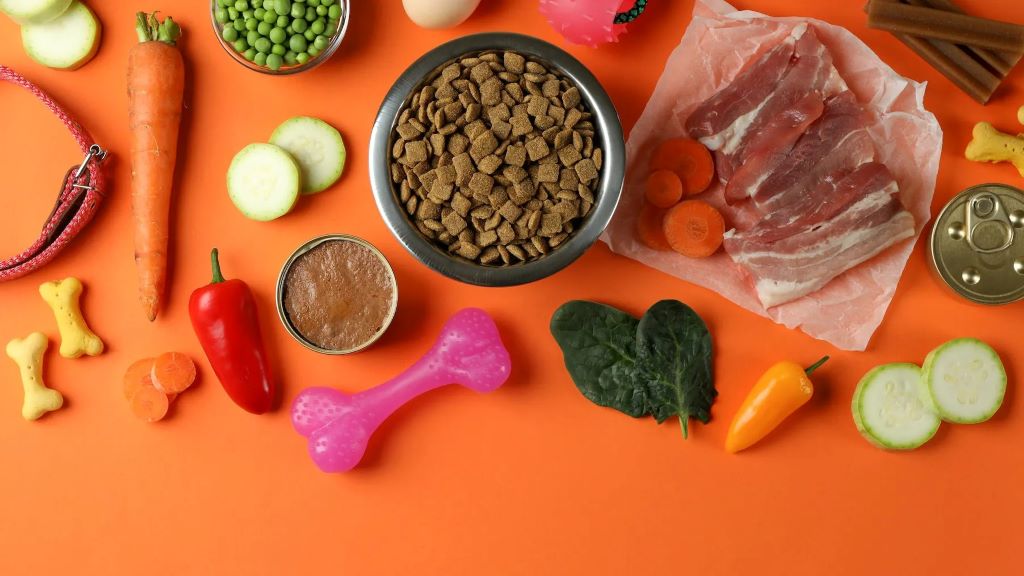 How to Choose Healthy Food for Your Pet in Oregon (OG)