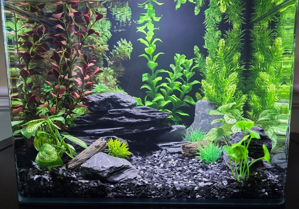 Best Black Aquarium Gravel for a Modern and Elegant Aquascape