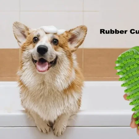 Beagle Grooming at Home: Easy Step-by-Step Guide